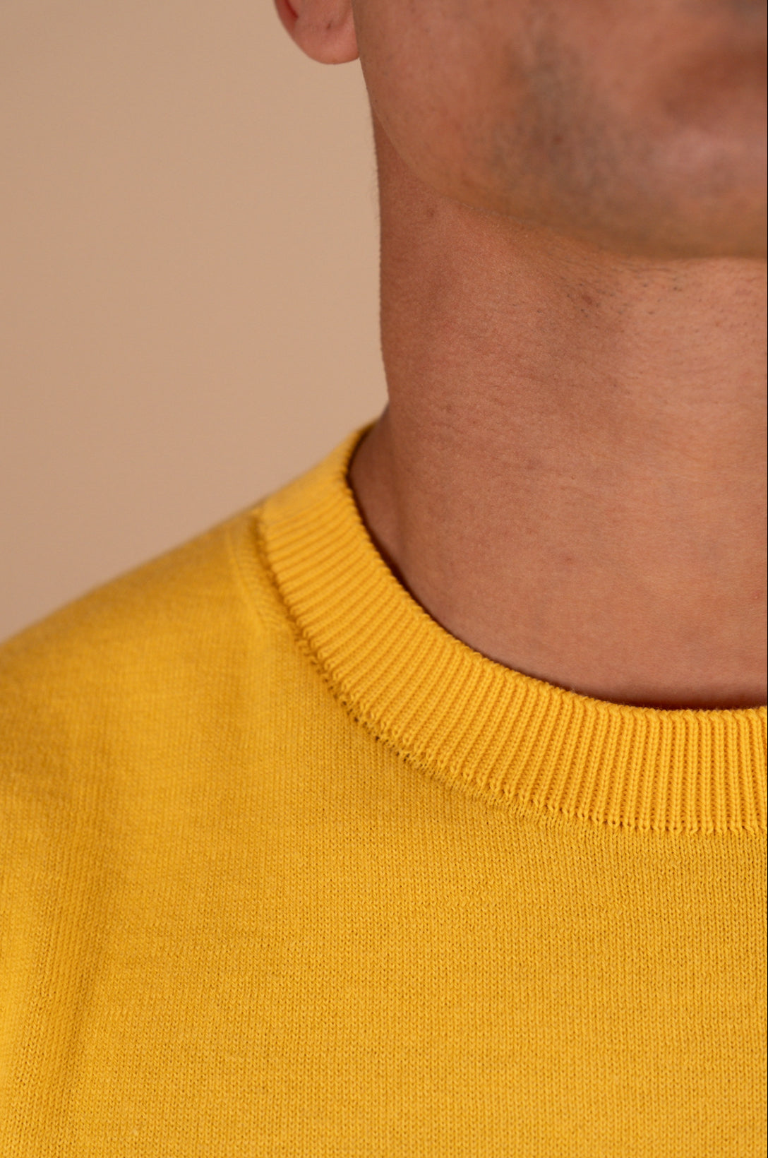 Fitted crew neck knit tee with tubular trims – The Monaco Tee by Iris & Loom