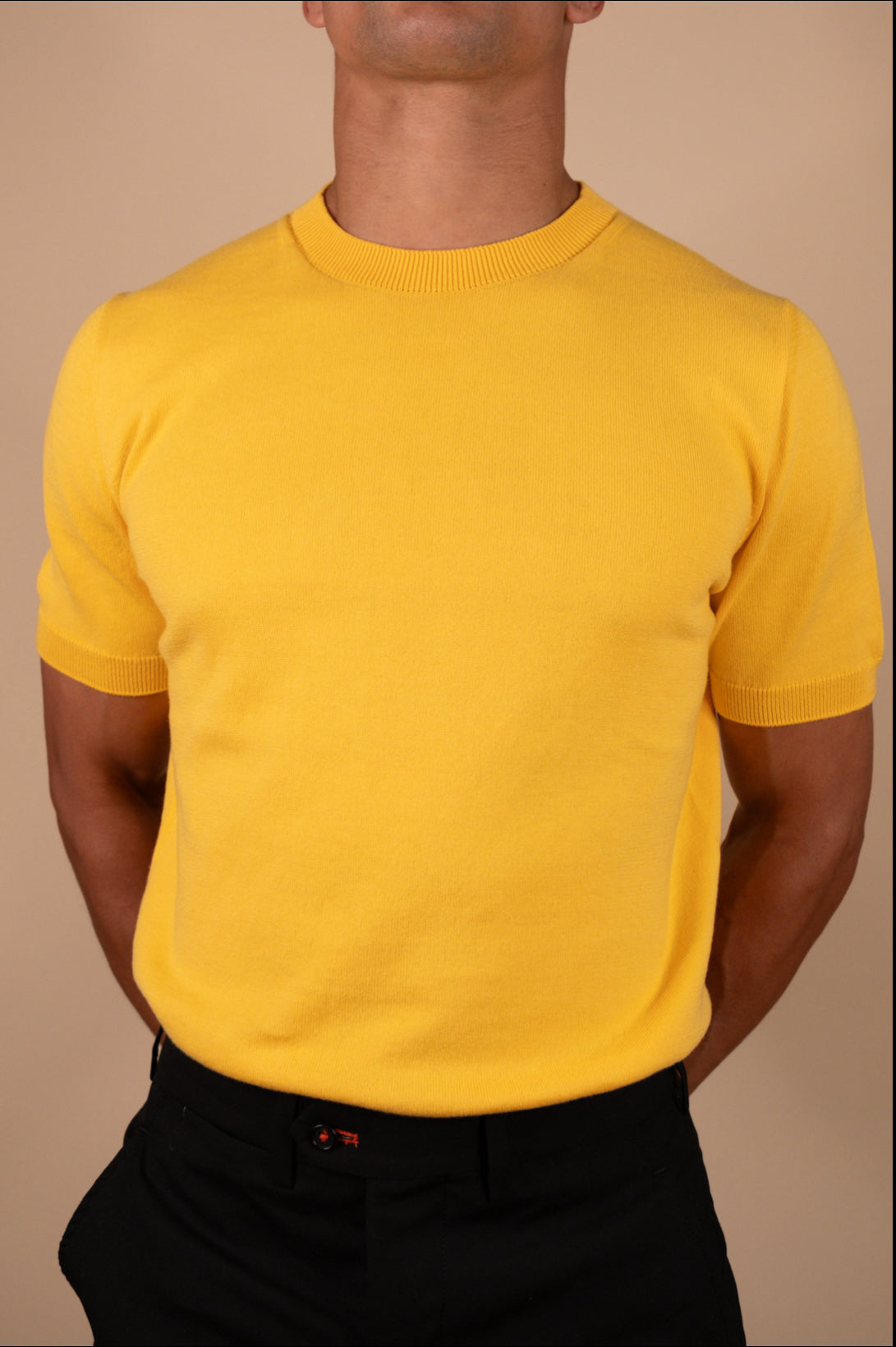 Fitted crew neck knit tee with tubular trims – The Monaco Tee by Iris & Loom